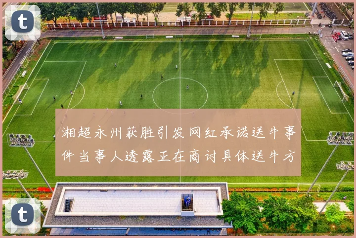 湘超永州获胜引发网红承诺送牛事件当事人透露正在商讨具体送牛方案