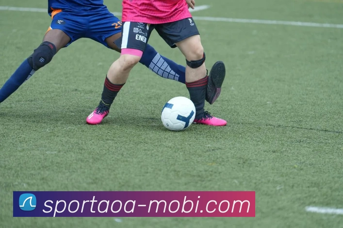 AOA体育平台生态图